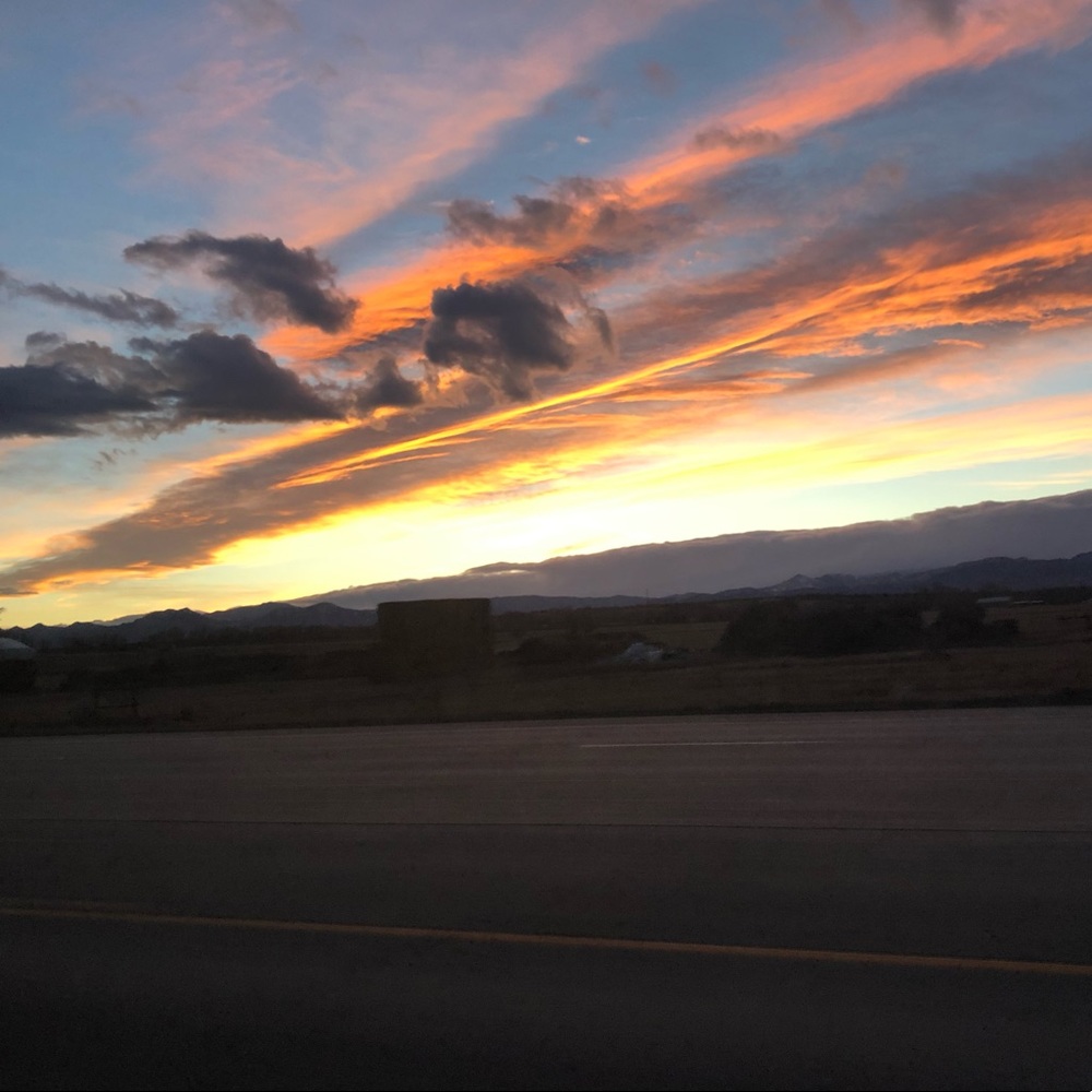 Meet your Posher, Kiley